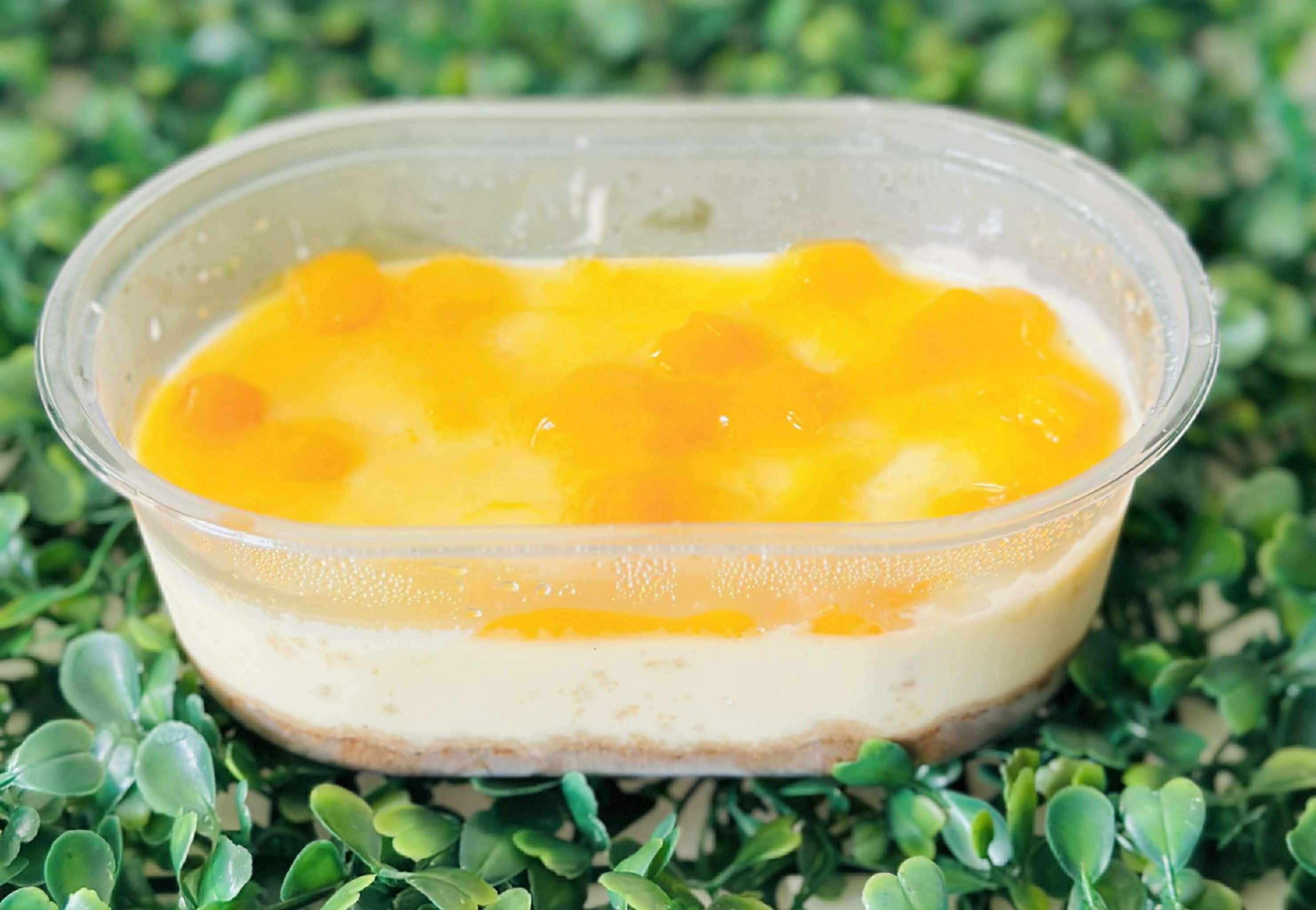 Tub Cake 1